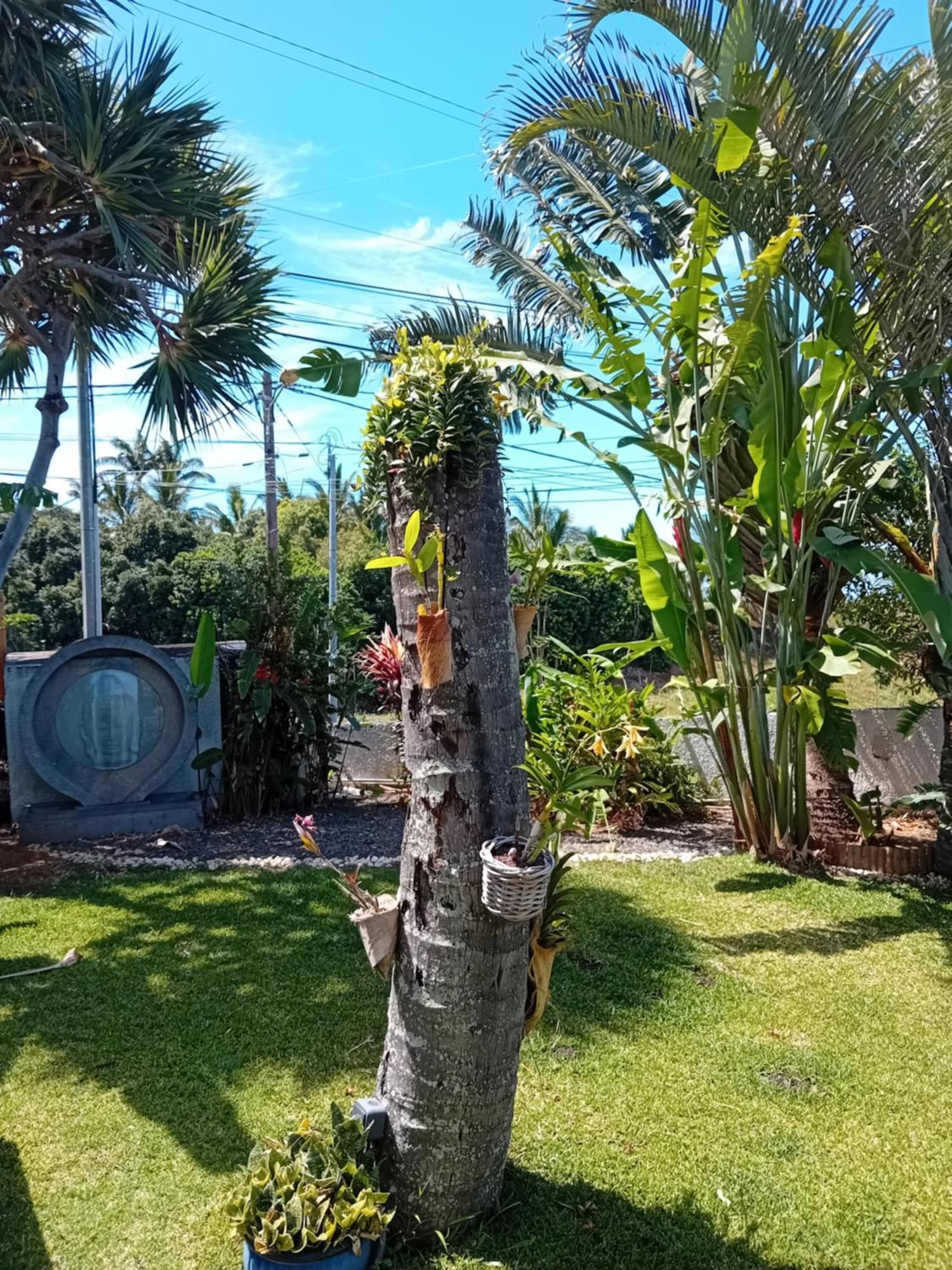 Villa Belza Et Spa (Adults Only) Saint Pierre Ngoại thất bức ảnh